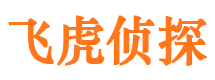 台江市私家侦探公司